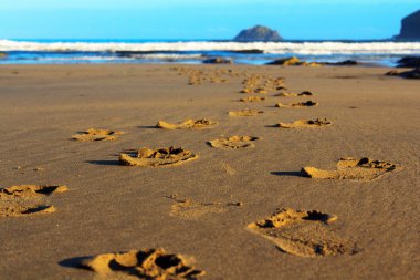 Kumdaki Polzeath sahilde