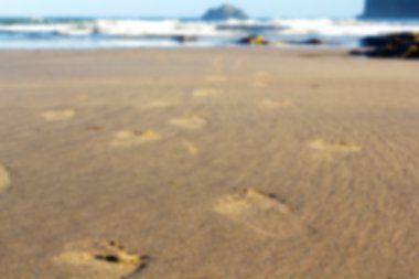 Kumdaki yak²n Polzeath sahilde.