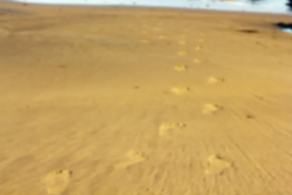 Footprints in the sand on Polzeath beach Out of focus. — Stock Photo, Image