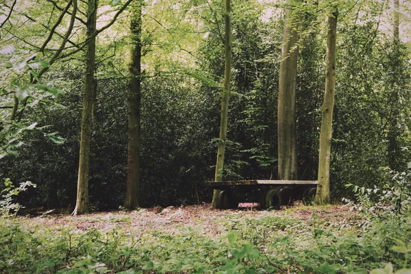 Staré abandond přívěsu nechal v lese Vintage Retro filtru. — Stock fotografie