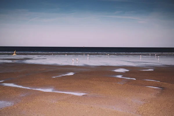 Uitzicht over het strand van Polzeath in Cornwall Vintage Retro Filter — Stockfoto