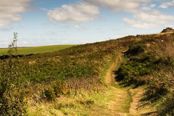 Vue depuis le sentier côtier près de Polzeath . — Photo