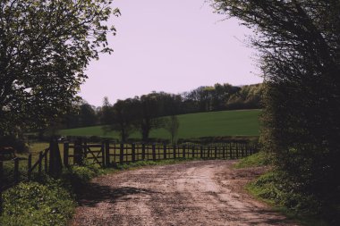 View along a path in the Chilterns, England Vintage Retro Filter clipart