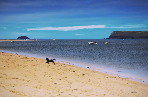 Bella vista sul mare vicino Padstow Vintage Retro Filter . — Foto Stock