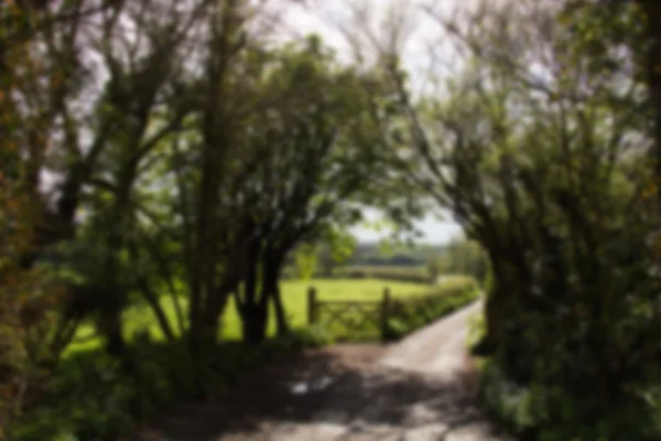 Countryside walk with path winding through trees Out of focus. — Stock Photo, Image