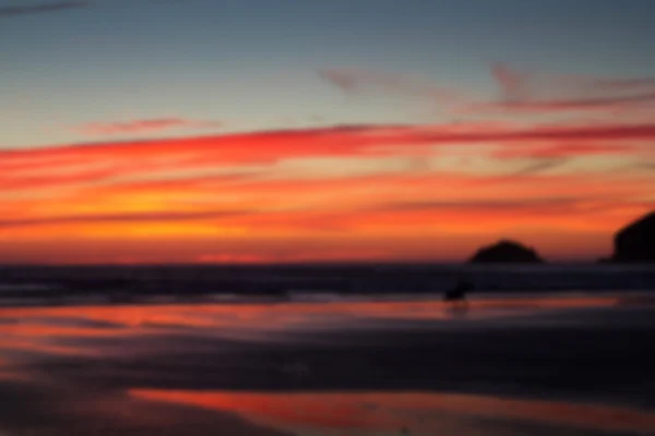 Colorido atardecer sobre la playa en Polzeath fuera de foco . — Foto de Stock