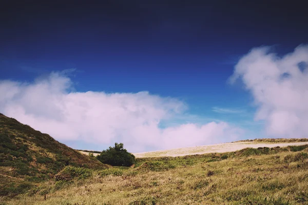 Uitzicht op platteland van ribben pad in de buurt van Polzeath Vintage Retro — Stockfoto