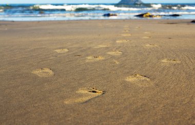 Kumdaki Polzeath sahilde