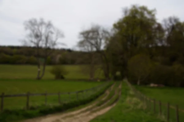 Landweg bergab durch Bäume aus dem Fokus geraten. — Stockfoto