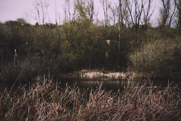 Misbourne řeka v Chilterns, England Vintage Retro filtru. — Stock fotografie