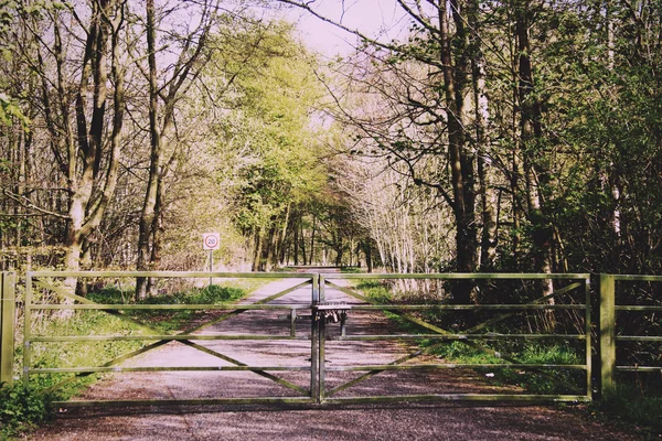 Ormanda Vintage Retro filtre aracılığıyla yol boyunca ahşap kapı. — Stok fotoğraf