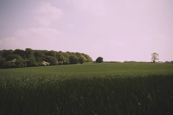 Vista sobre el paisaje Chilterns en Buckinghamshire, Inglaterra Vi — Foto de Stock