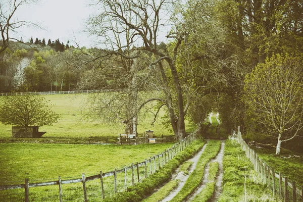 Vista através das árvores em uma caminhada pelo campo — Fotografia de Stock