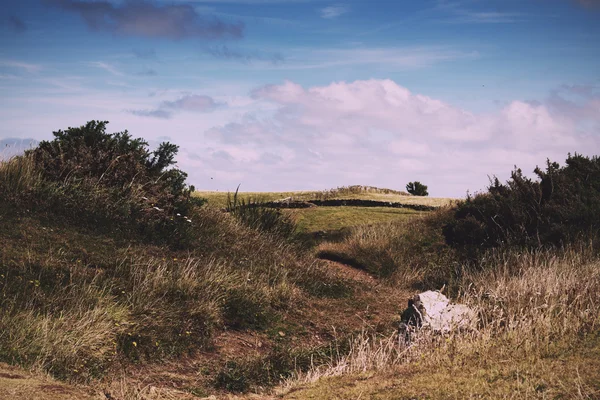 Vue depuis le sentier côtier près de Polzeath Vintage Retro Filter . — Photo