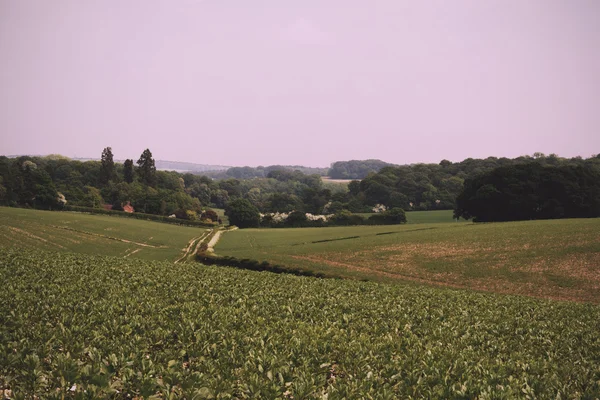 Vista sobre el paisaje Chilterns en Buckinghamshire, Inglaterra Vi —  Fotos de Stock