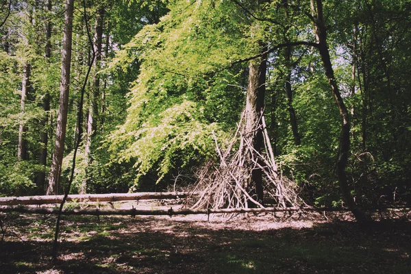 Campamento de construcción de ramas en el bosque Vintage Retro Filter . — Foto de Stock