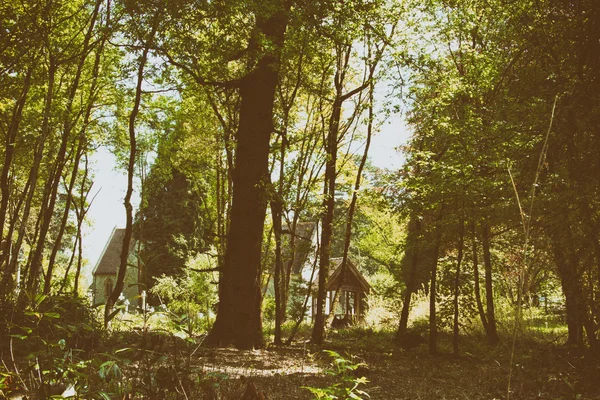 숲에서 나무에 의해 포위 하는 교회 — 스톡 사진