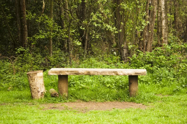 Ancien banc trouvé dans les bois — Photo