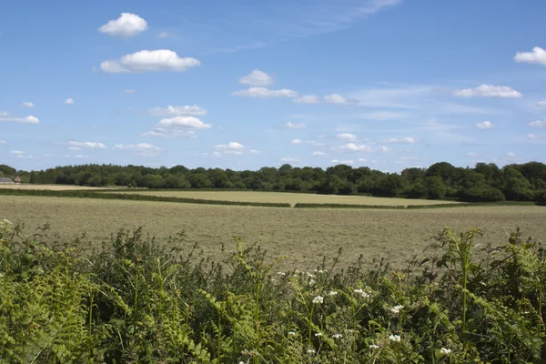 English Countryside, Holmer Green, Buckinghamshire — Stock Photo, Image