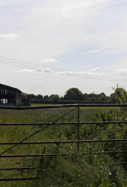 Campagna inglese, Holmer Green, Buckinghamshire — Foto Stock