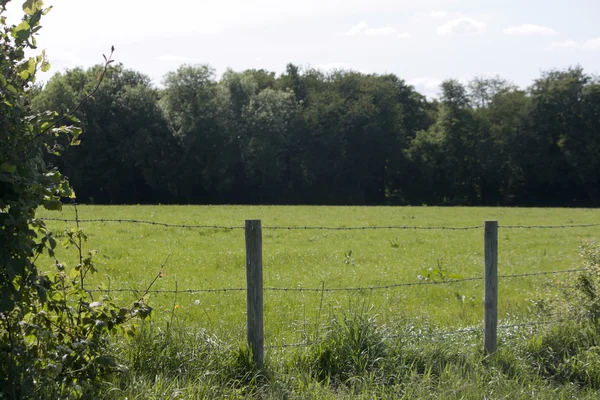 Englische Landschaft, holmer green, buckinghamshire — Stockfoto