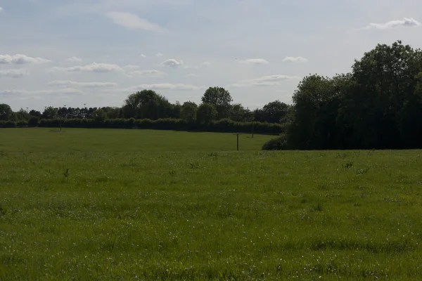 Αγγλική εξοχή, πράσινο holmer, buckinghamshire — Φωτογραφία Αρχείου