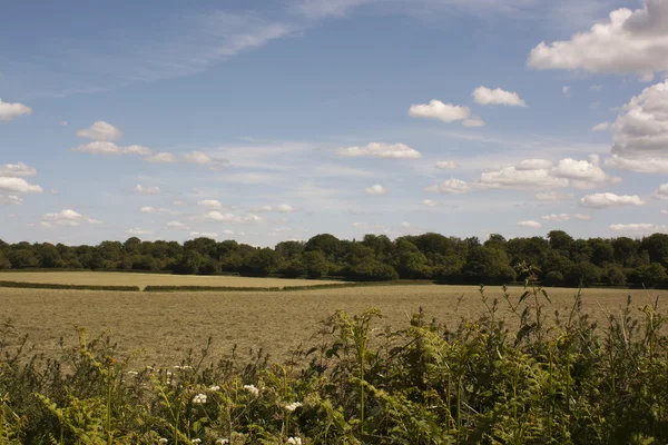 Englische Landschaft, holmer green, buckinghamshire — Stockfoto