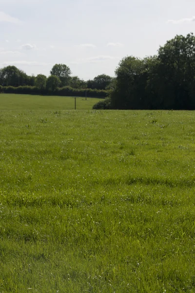 İngilizce kırsal, holmer yeşil, buckinghamshire — Stok fotoğraf