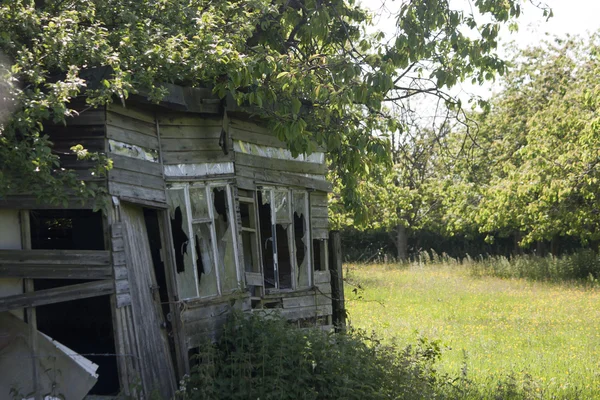 Campo Inglês, Holmer Green, Buckinghamshire — Fotografia de Stock