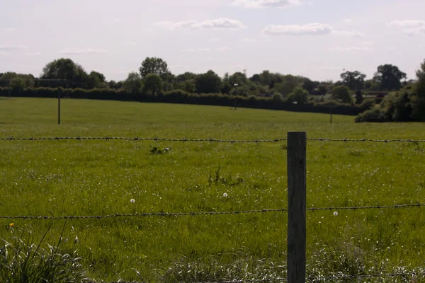 Engels platteland, holmer green, buckinghamshire — Stockfoto