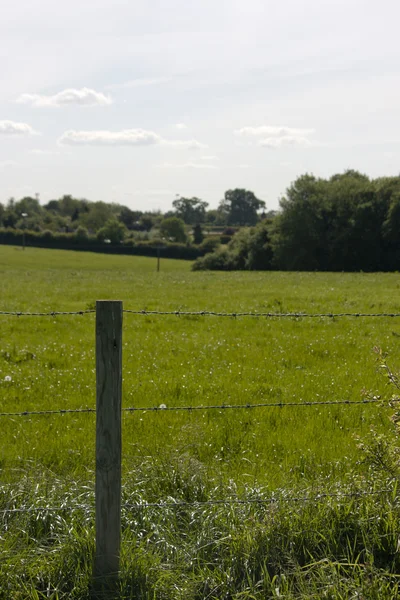 Campo Inglês, Holmer Green, Buckinghamshire — Fotografia de Stock