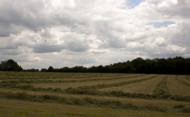 İngilizce kırsal, holmer yeşil, buckinghamshire