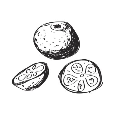 Bir portakal basit doodle