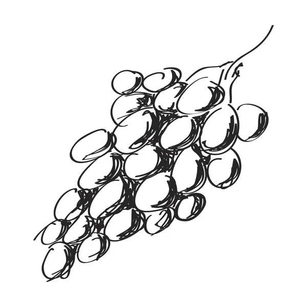 Eenvoudige doodle van een tros druiven — Stockvector