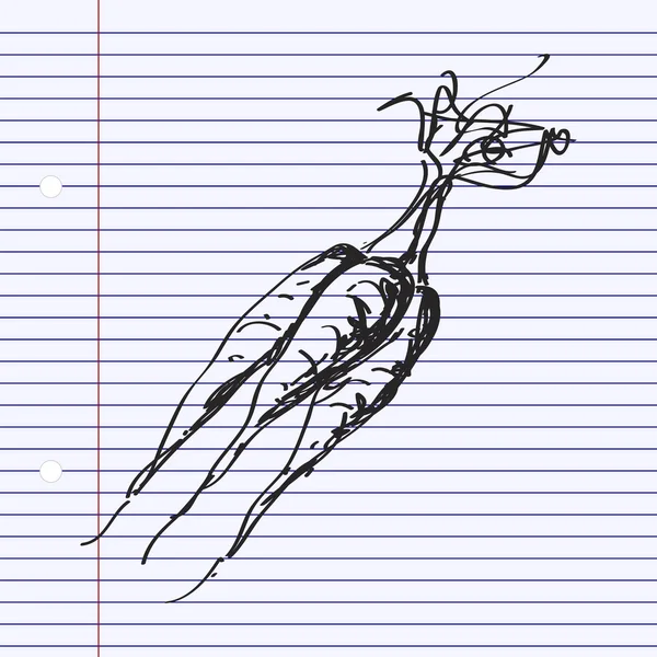Απλή doodle του ένα μάτσο καρότα — Διανυσματικό Αρχείο