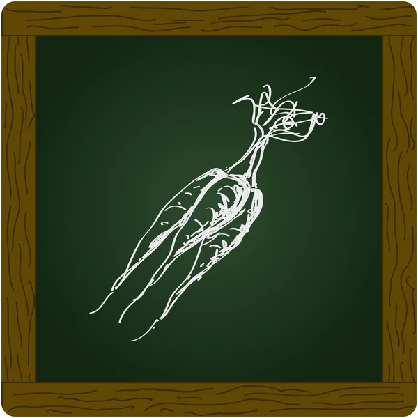 Doodle simples de um ramo de cenouras —  Vetores de Stock