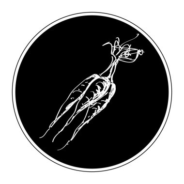 Havuç bir demet basit doodle