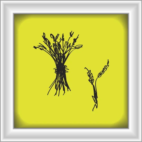Doodle simples de um ramo de trigo — Vetor de Stock