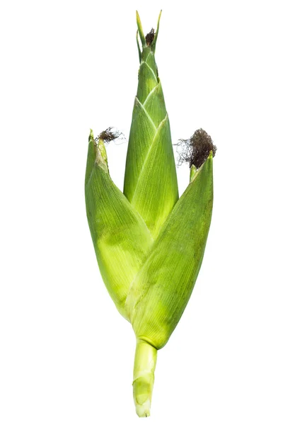 Sweet corn isolated on white — Stock Photo, Image