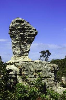 Beautiful stone at Siam Tulip national park 