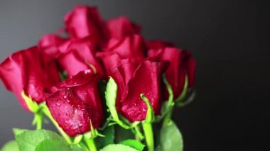 Kırmızı güller çiy ile damla üzerinde siyah bir arka plan.
