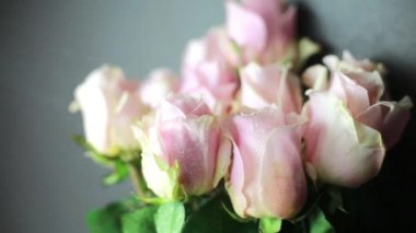 Pembe gül üzerinde siyah bir zemin üzerine su püskürtülür.