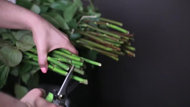 Las manos femeninas con tijeras cortan la parte inferior de los tallos de las rosas . — Vídeos de Stock