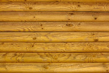 Tasarımda arka plan için sarı ahşap doku. Eski bir çam ağacı duvarı..