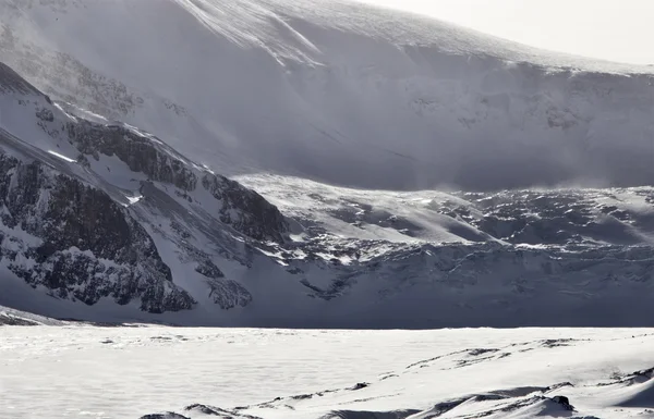 Columbia Icefields Alberta Rocky Mountains — Stock Photo, Image