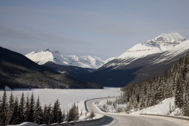 Kış Kanada Rocky Dağları