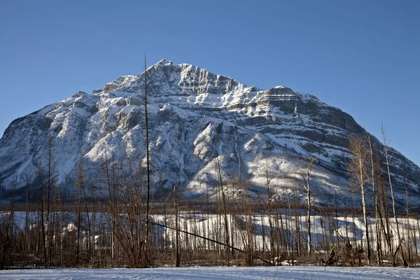 Montañas Rocosas en Invierno Canadá —  Fotos de Stock