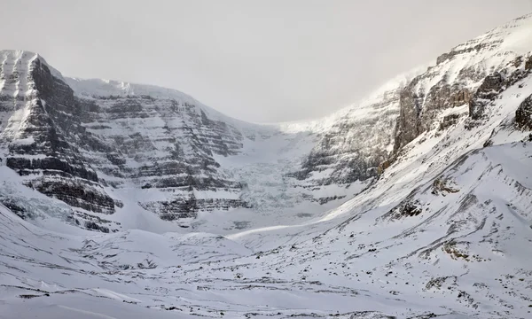 Colúmbia Icefields Alberta Montanhas Rochosas — Fotografia de Stock