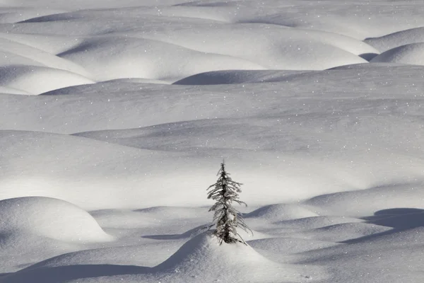 Mountain Snow Moguls — Stock Photo, Image