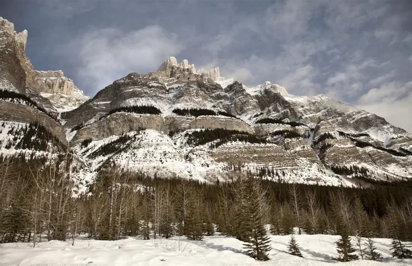 Скелястих горах в зимових Канади — стокове фото